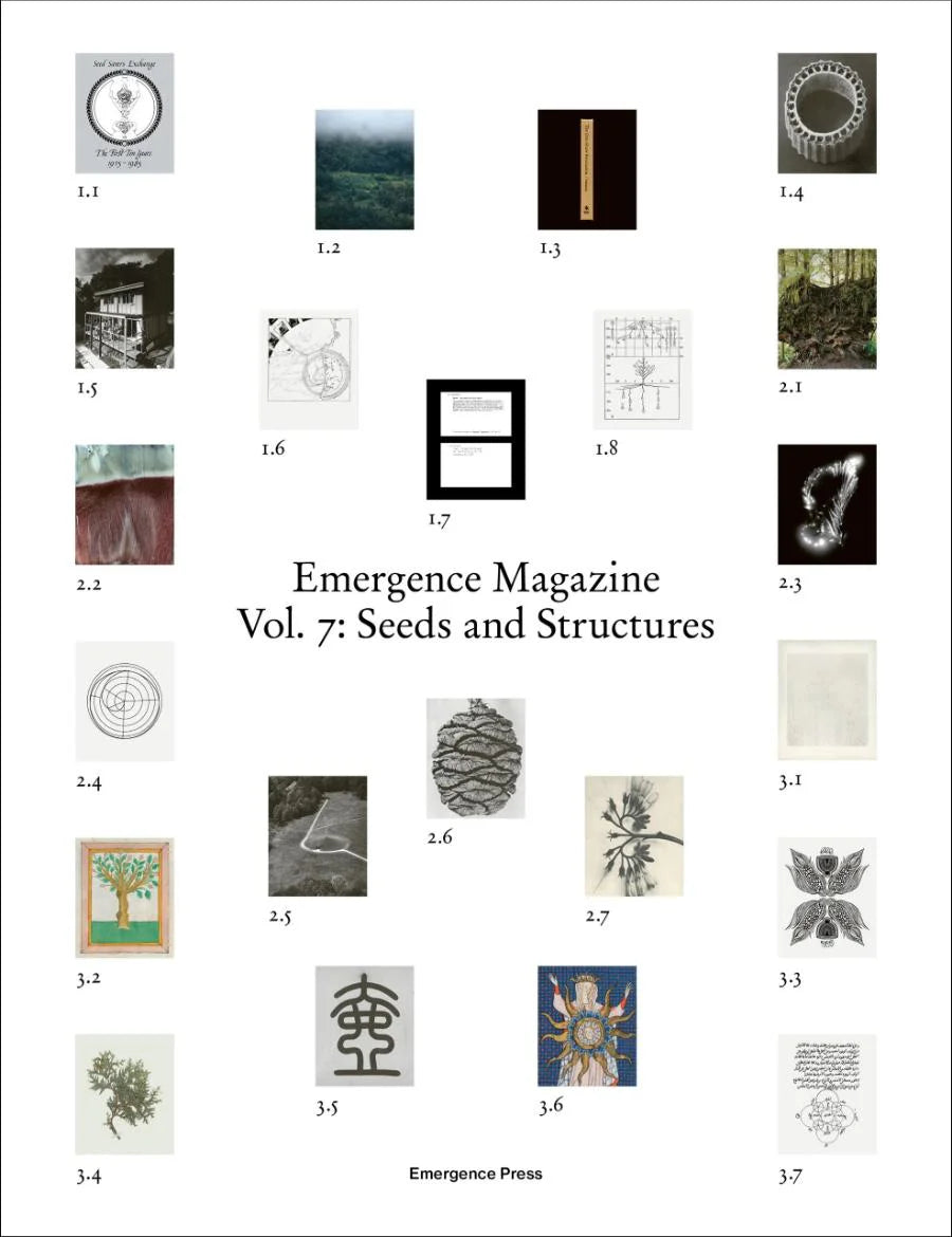 Emergence #7 - Seeds and Structures
